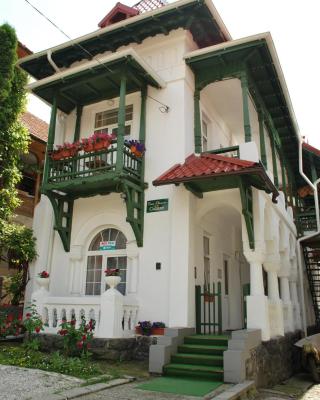 Casa Olanescu