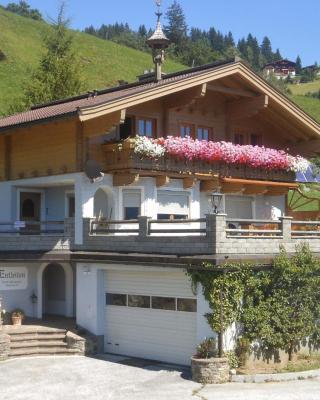 Sunlit Apartment near Ski Area in Hollersbach im Pinzgau