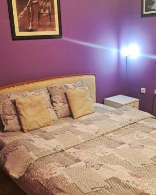 Apartman Žile