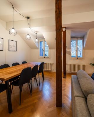 Old town apt in the heart of Thun with garden