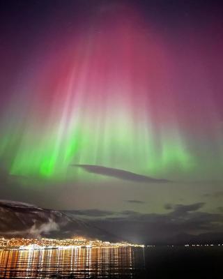 Rom sentralt i Tromsø