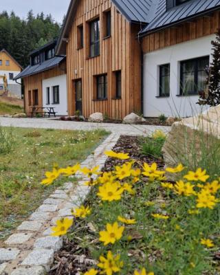 Apartmán U Ludvíčka