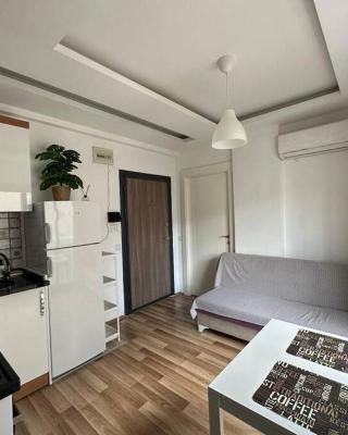 Deniz One Bedroom Appartment