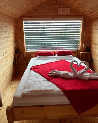 Glamping NA BREJGI