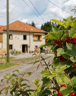 La Ferme de Jean entre lacs et montagnes