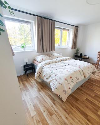 Apartmán U sklepů