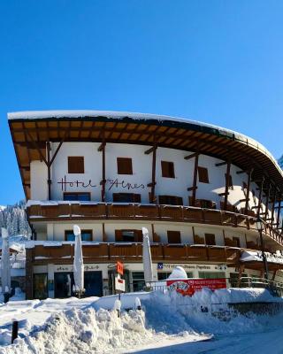 Hotel Des Alpes