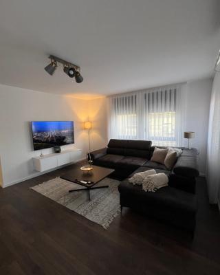 Penthouse Centar