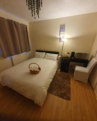 Double size and Single room in Barking