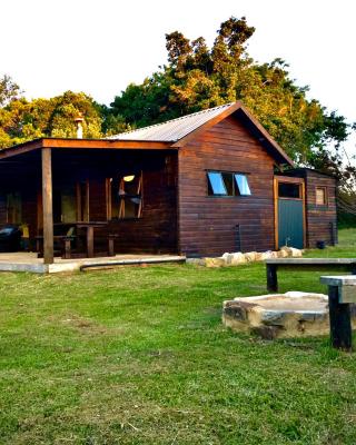 Pura Vida Forest Cabin