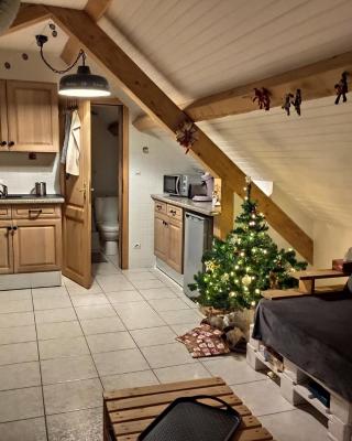 Appartement douillet avec vue sur les montagnes