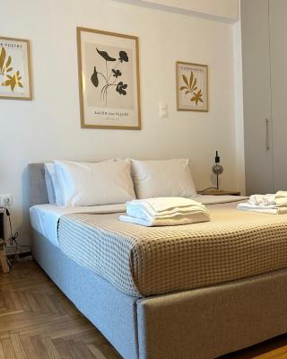 Cozy Faliro home