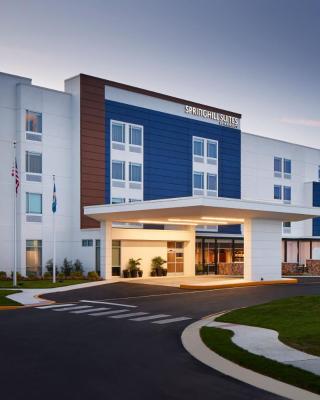 SpringHill Suites by Marriott Frederica