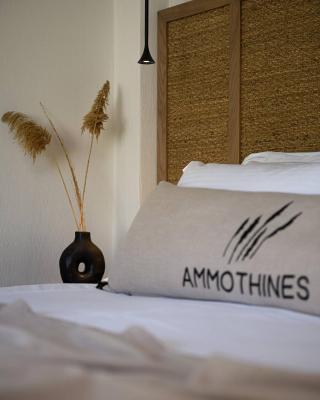 Ammothines Beach Suites