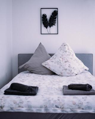 schönes Apartment in der Altstadt , kostenlose Parkplätze in der Nähe