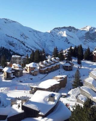 Charmant T2 classé 3 étoiles, Les Crozats, Magnifique vue montagne