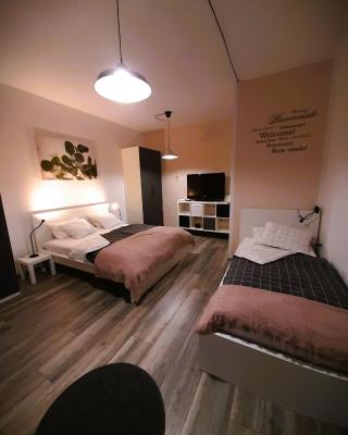 apartma Vila TARA