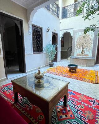 RIAD GJULJA