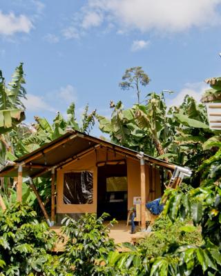 Glamping Jardín