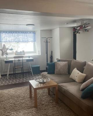 Independent apartment in Borås
