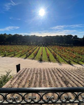 Appartement unique dans le domaine de la sangliere