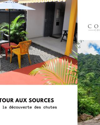 Le Retour Aux Sources
