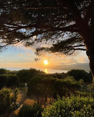 Résidence île de beauté