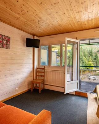 Chaleureux studio 6 pers, ascenseur, balcon, proche pistes - FR-1-400-5