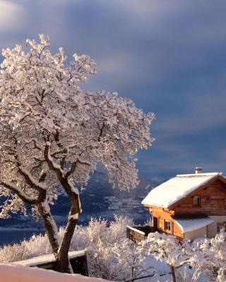 Chalet bioclimatique avec vue sur le lac de Serre Ponçon