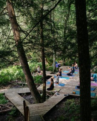 Auberge Yoga Salamandre
