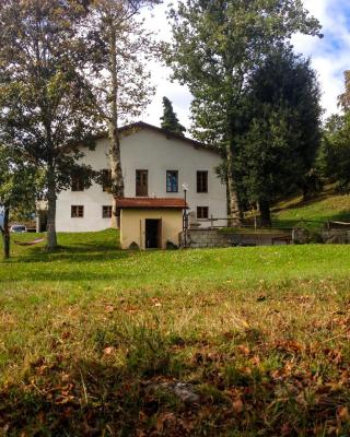 Il Borrino