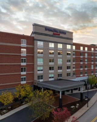 SpringHill Suites Pittsburgh Southside Works
