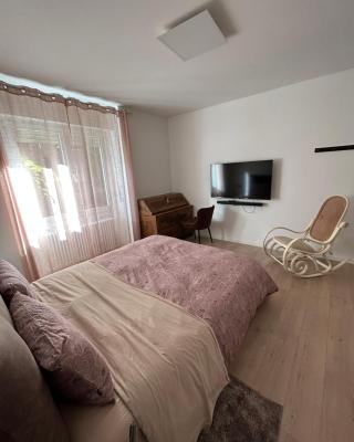 Easy Apartment Trento