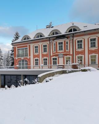 Wellness & Spa hotel Villa Regenhart