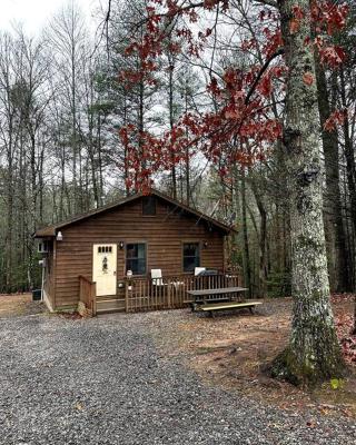 Private cozy cabin in the woods with great view