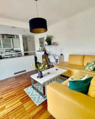 Cosy flat with huge Terrasse! Long or Shortterm