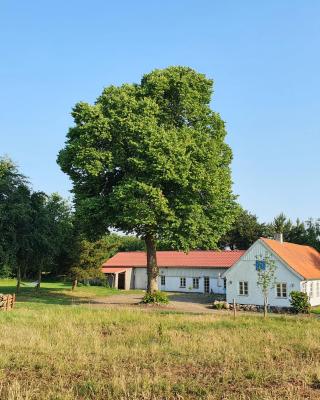 Slotsgaardens feriegård.