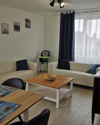 Place Alexandre Stanier apt n 7 avec terrasse