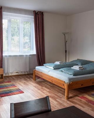 Apartments Gala Abertamy