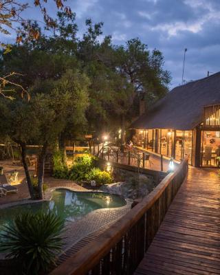 Panzi Lodge