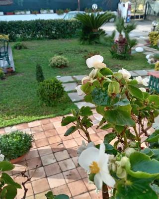 B&B villamariascauri