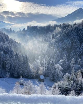 Wohnung Staufenblick und Wohnung Firstblick