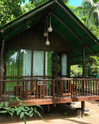 Coconut Tree House