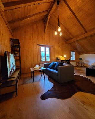 Forest View Apartment in Leissigen by Interlaken with No Kitchen