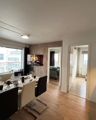 Luxurable super central 3 BR apt for a family of 6 in Oslo