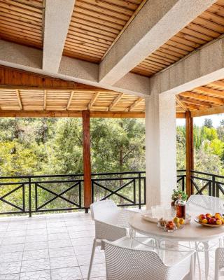 Platres Forest Panorama Cottage