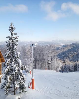 Apartamenty na Soszowie, Wisła - widokowe miejsce z Balią & Prywatną Sauną, obok stoku narciarskiego i Bike Parku, dla max 16 osób