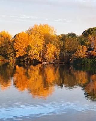 Les berges du Seudo