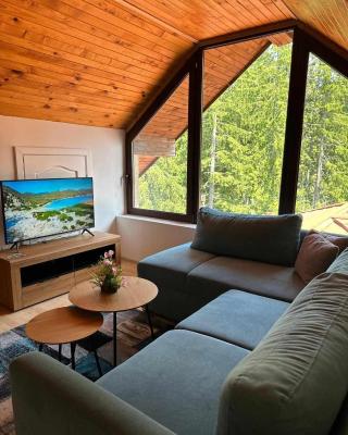 Pamporovo Rhodopi Pearl Apartments - Private Apartments
