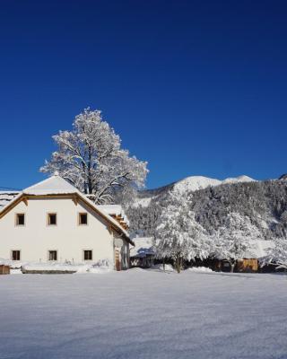 Ferien am Land - WALDBAUER